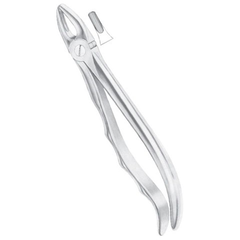 Upper Laterals And Canines