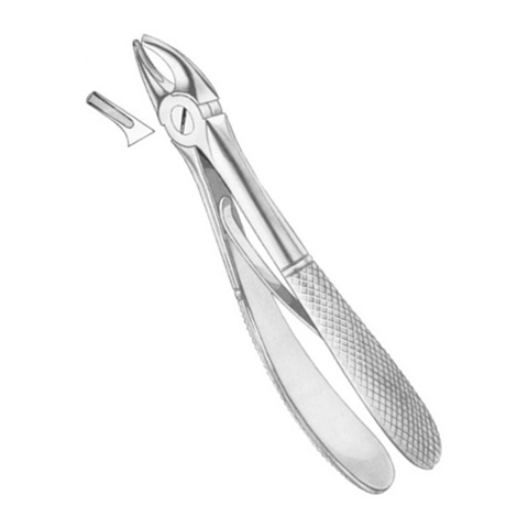 Extracting Forceps Child