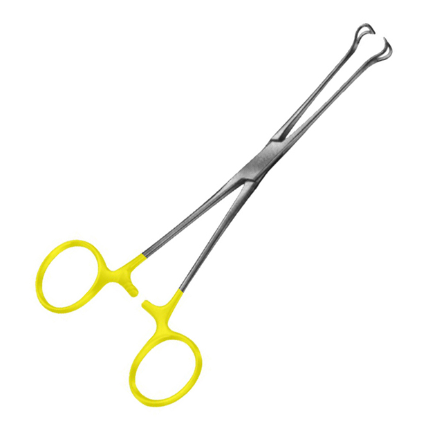 Tc Forceps 1 Tc Forceps