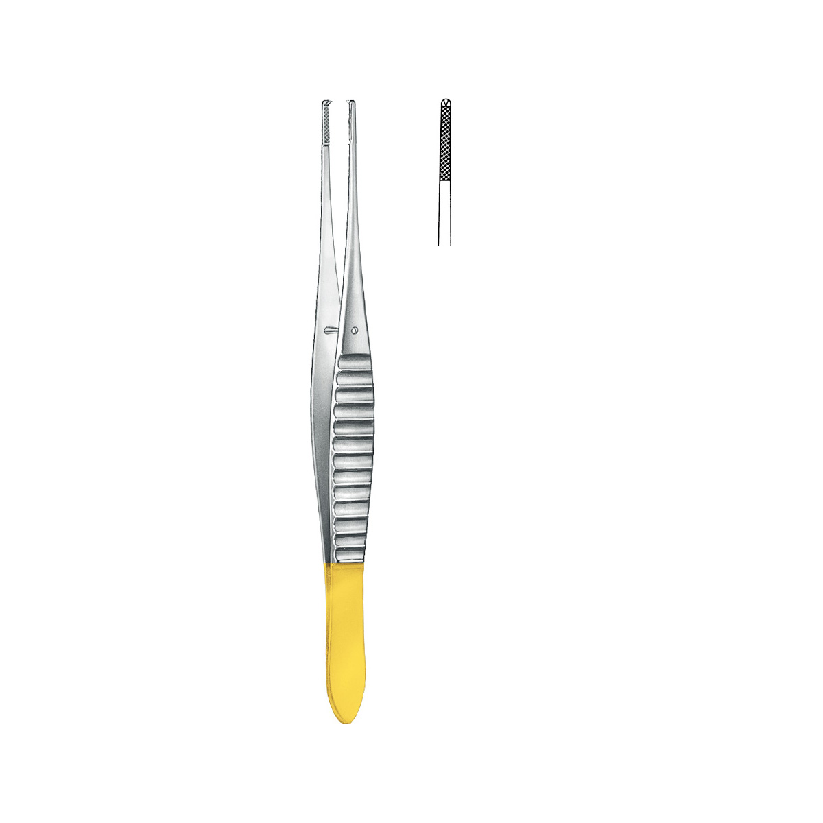 TC Forcep