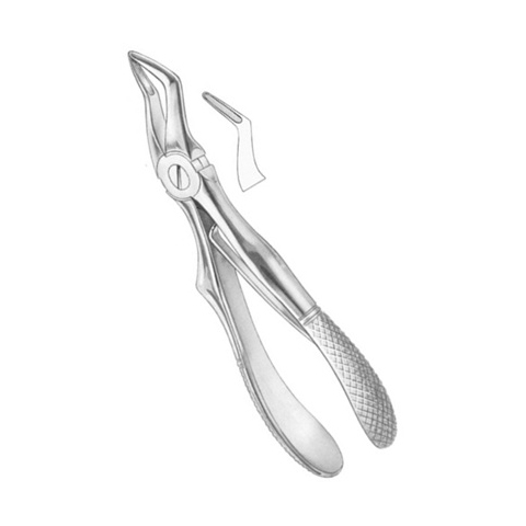 Extracting Forceps Child 1 Extracting Forceps Child