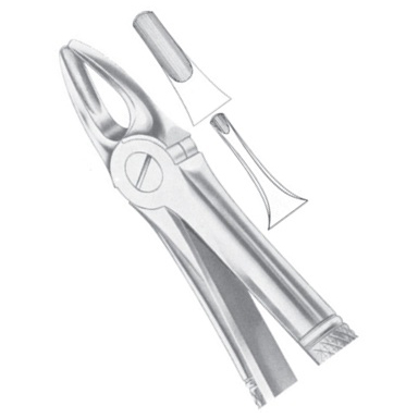 Extracting Forceps EP