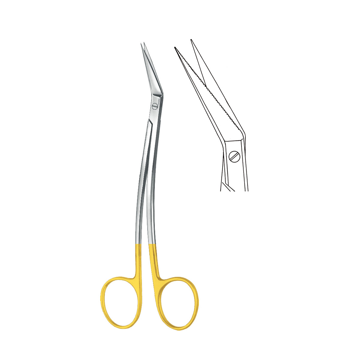 TC scissors 1 TC scissors