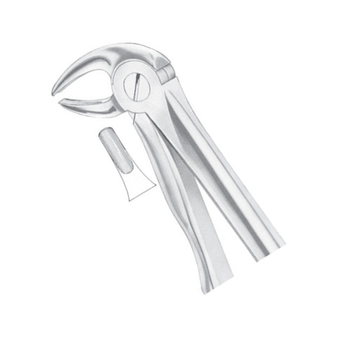 Upper Premolars