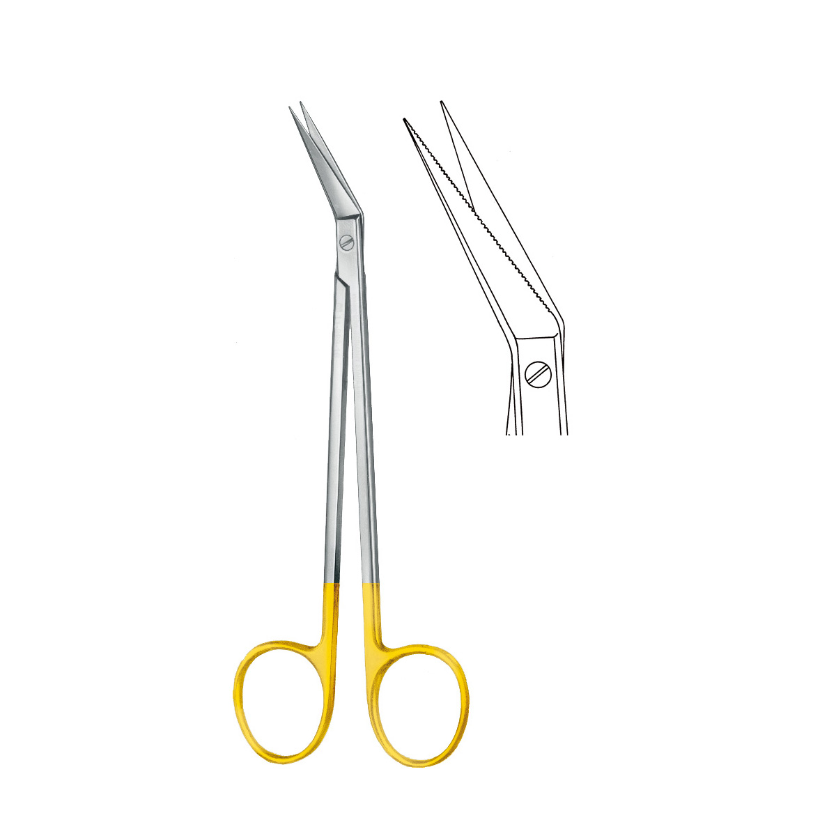 TC scissors 1 TC scissors