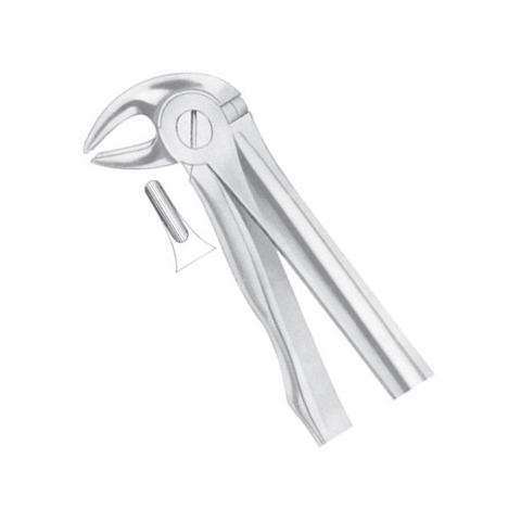 Lower Premolars
