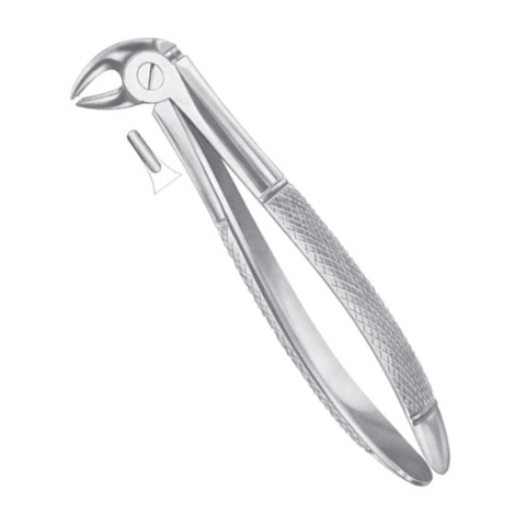 Extracting Forceps EP