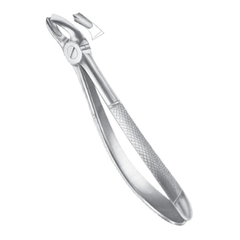 Extracting Forceps EP