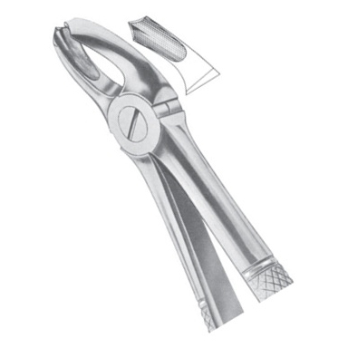 Extracting Forceps EP