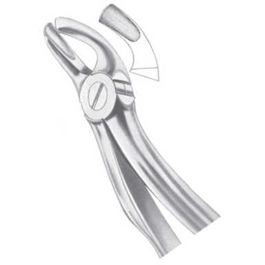 Upper Third Molars 1 Upper Third Molars