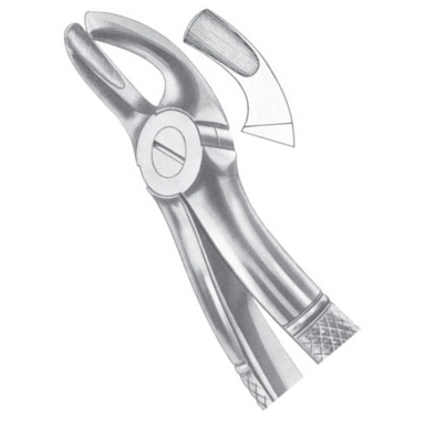 Extracting Forceps EP 1 Extracting Forceps EP