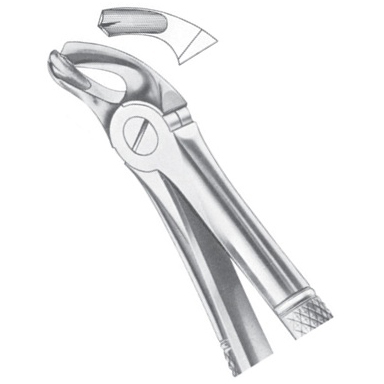 Extracting Forceps EP