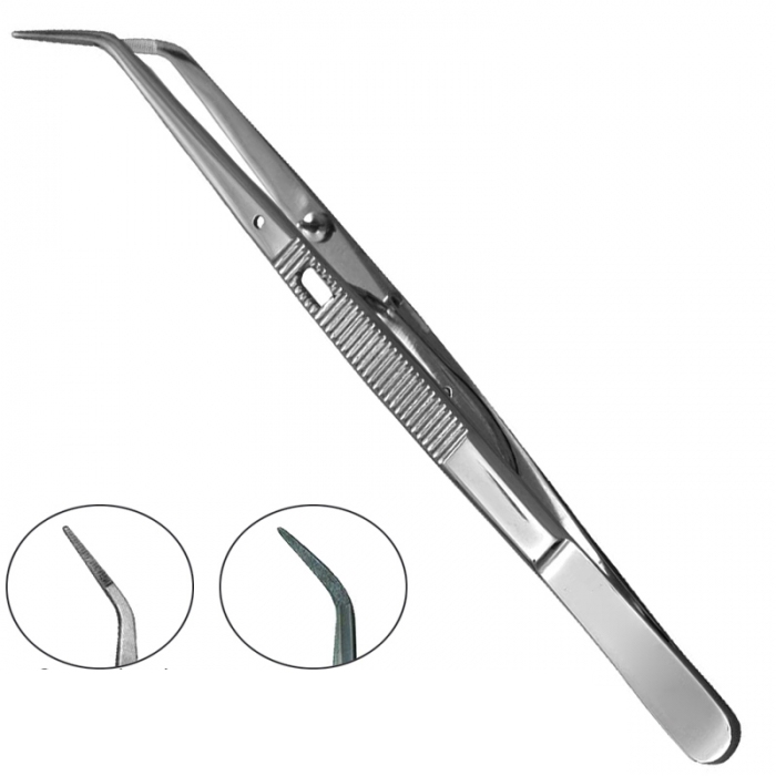 Dental Tweezers 1 Dental Tweezers