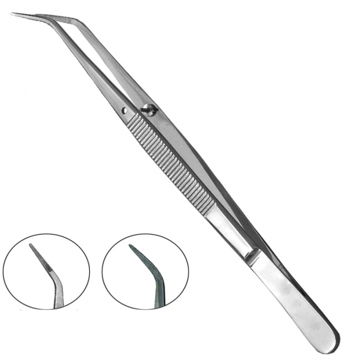 Dental Tweezers 1 Dental Tweezers