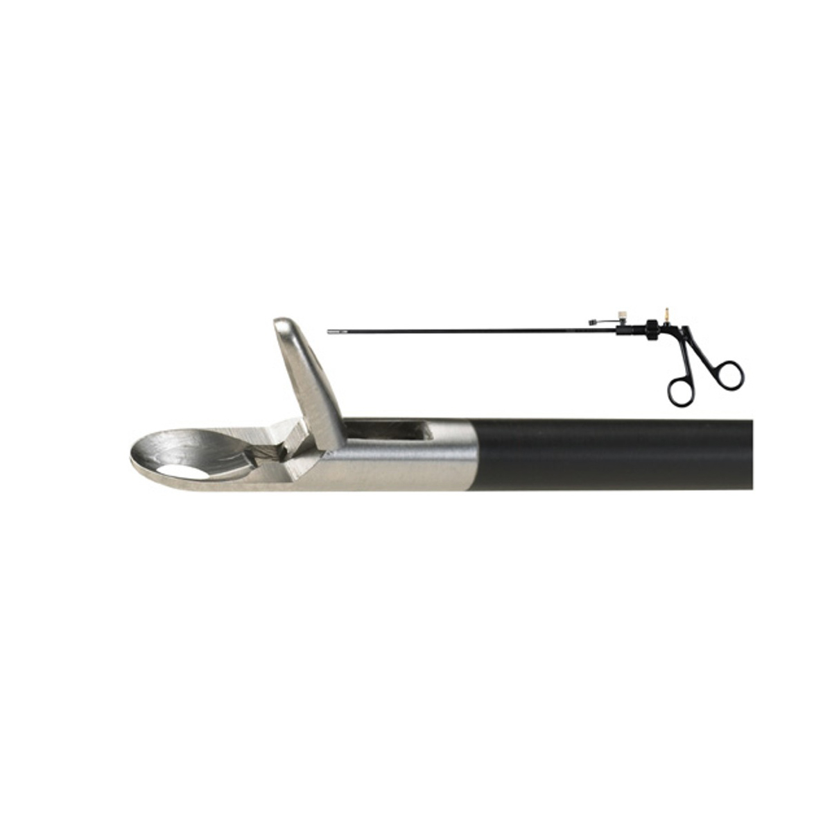 BIOPSY FORCEPS 1 BIOPSY FORCEPS