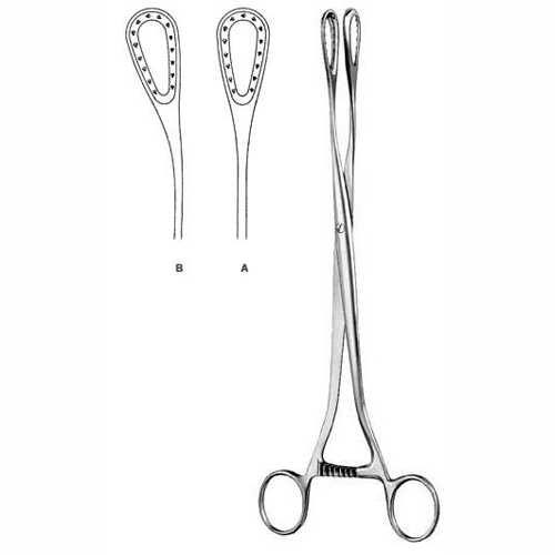 Obstetrics 1 Obstetrics