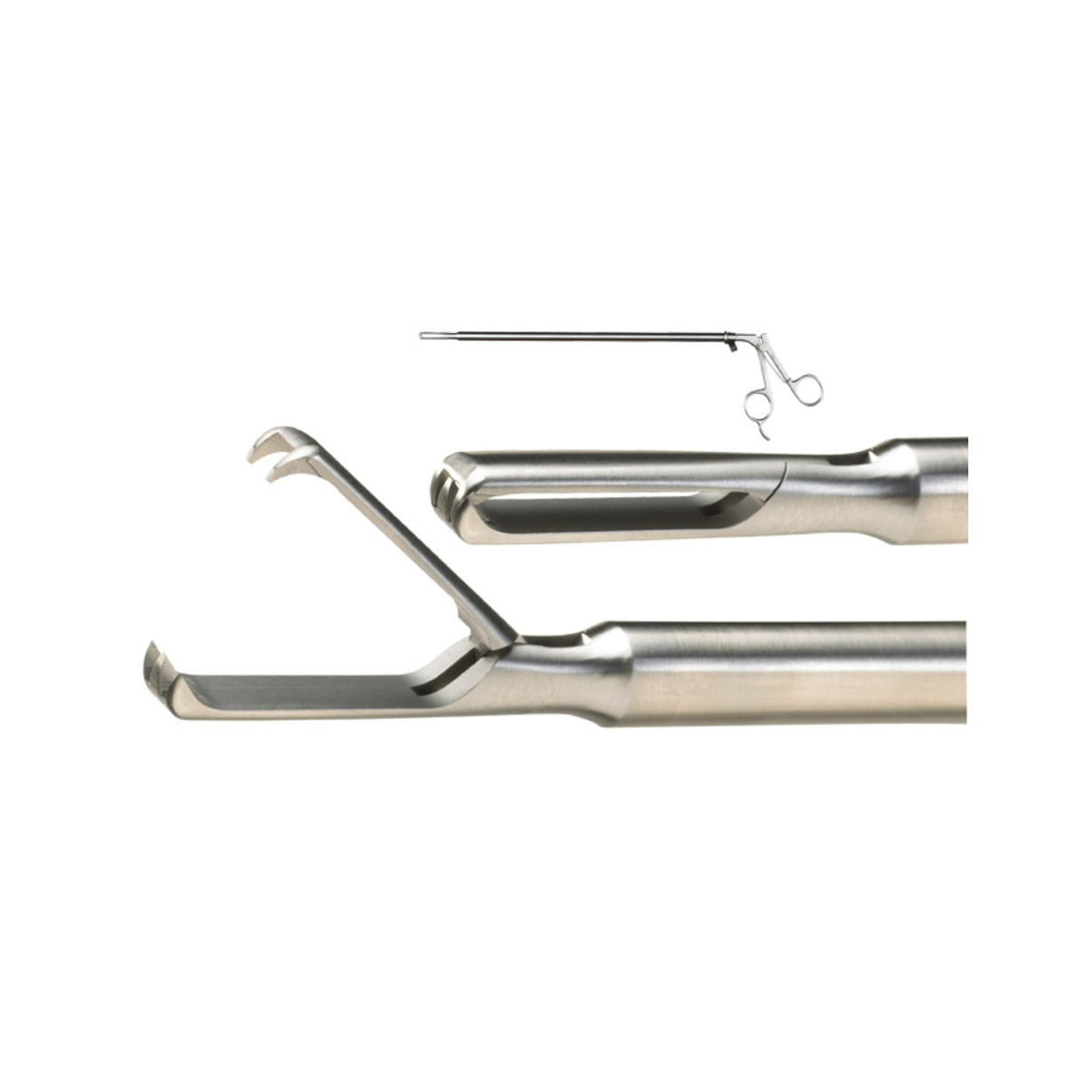 CLAW FORCEPS 1 CLAW FORCEPS