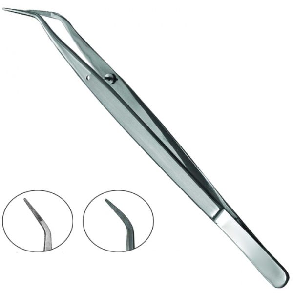 Dental Tweezers