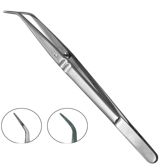 Dental Tweezers 1 Dental Tweezers