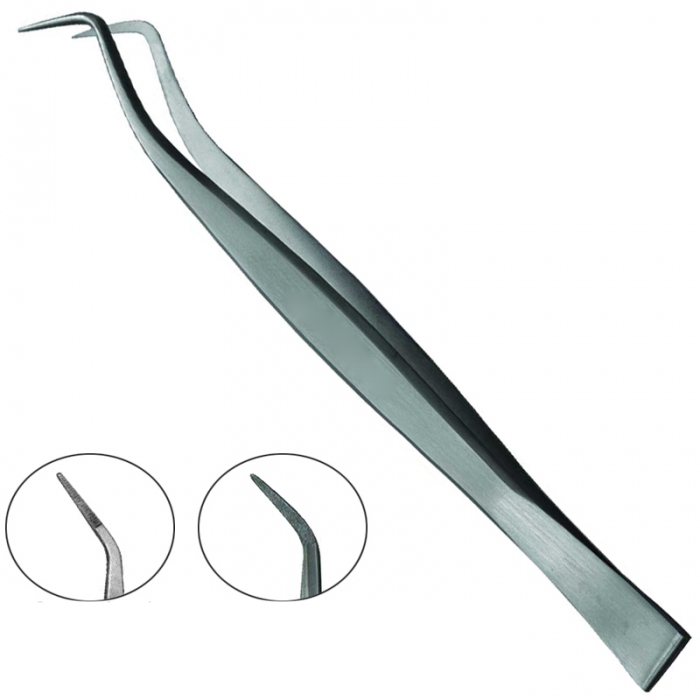 Dental Tweezers 1 Dental Tweezers