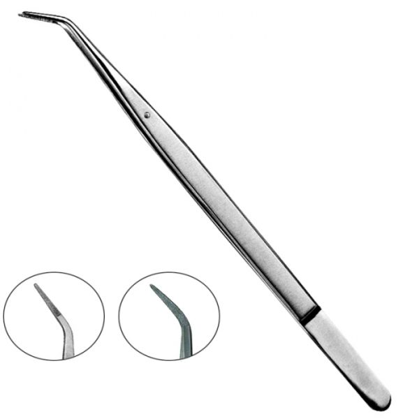 Dental Tweezers
