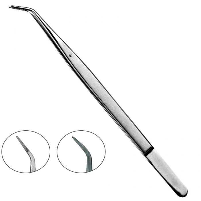 Dental Tweezers 1 Dental Tweezers