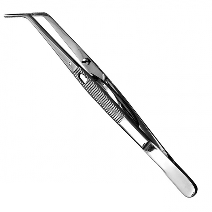 Endodontic Instruments 1 Endodontic Instruments
