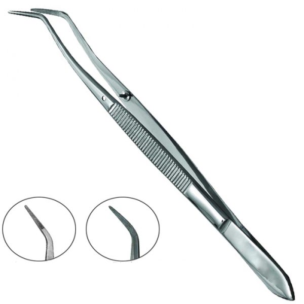 Dental Tweezers