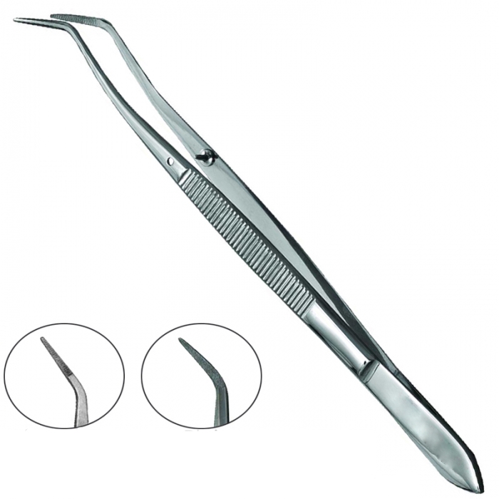 Dental Tweezers 1 Dental Tweezers