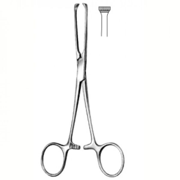 Allis Tissue Forcep