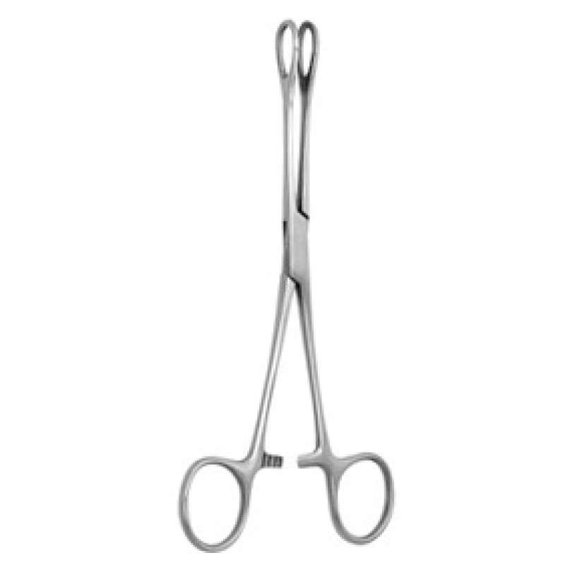 Sponge Foerster Forceps 1 Sponge Foerster Forceps