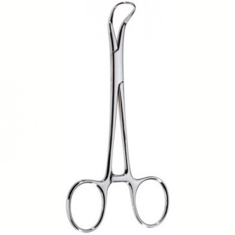 Towel Forceps 1 Towel Forceps