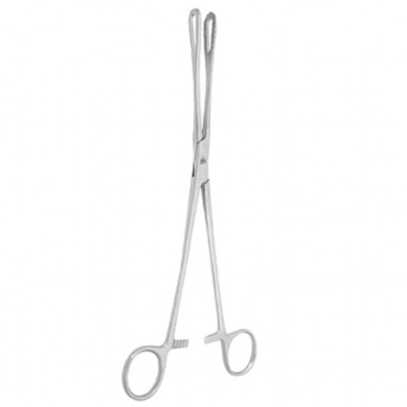 Rampley Sponge Forceps 1 Rampley Sponge Forceps